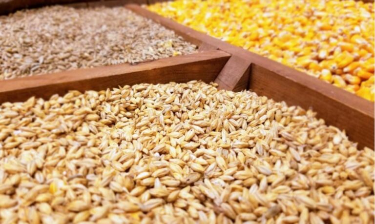 Anunț comercializare cereale