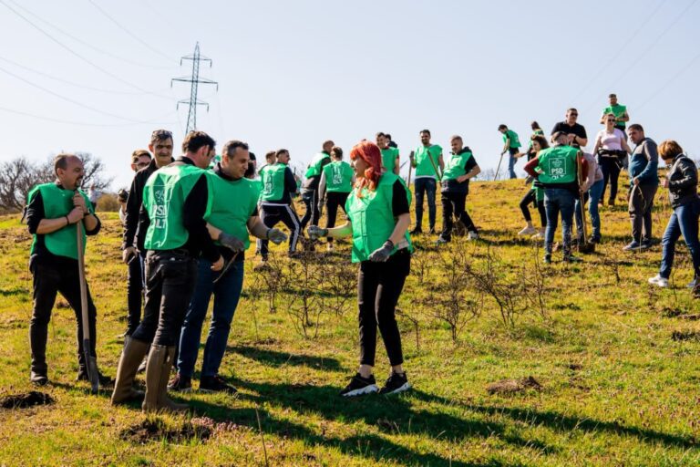 Social-democrații olteni au plantat 2.000 de puieți de salcâm