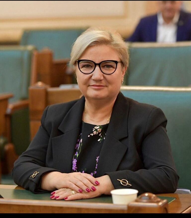 Partidul Social Democrat a asigurat lansarea a două programe importante