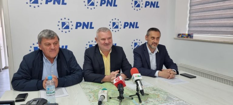 Mario De Mezzo, primele proiecte în Primăria Slatina