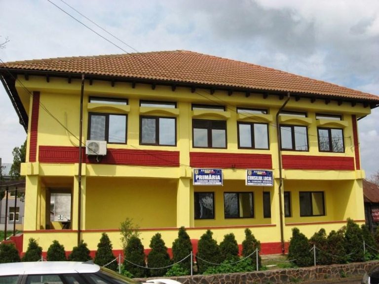 Stimulent financiar de 2.000 de lei pentru nou-născuți într-o comuna din Olt