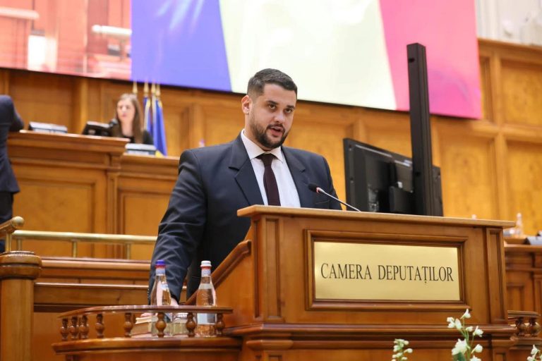 Deputatul Bogdan-Florian Mihuți, activitate parlamentară
