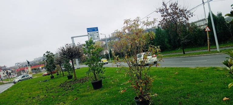 Dezvoltare Urbană continuă lucrările de modernizare a zonelor verzi din Slatina