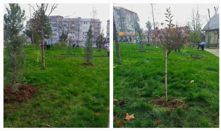Lucrări ample de întreținere și înfrumusețare a spațiilor verzi, în mai multe zone din Slatina