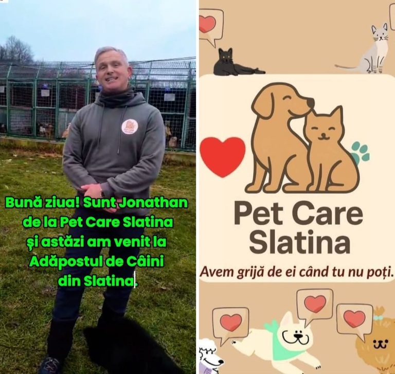 Și tu poți adopta un câine! Implicarea comunității poate schimba destine
