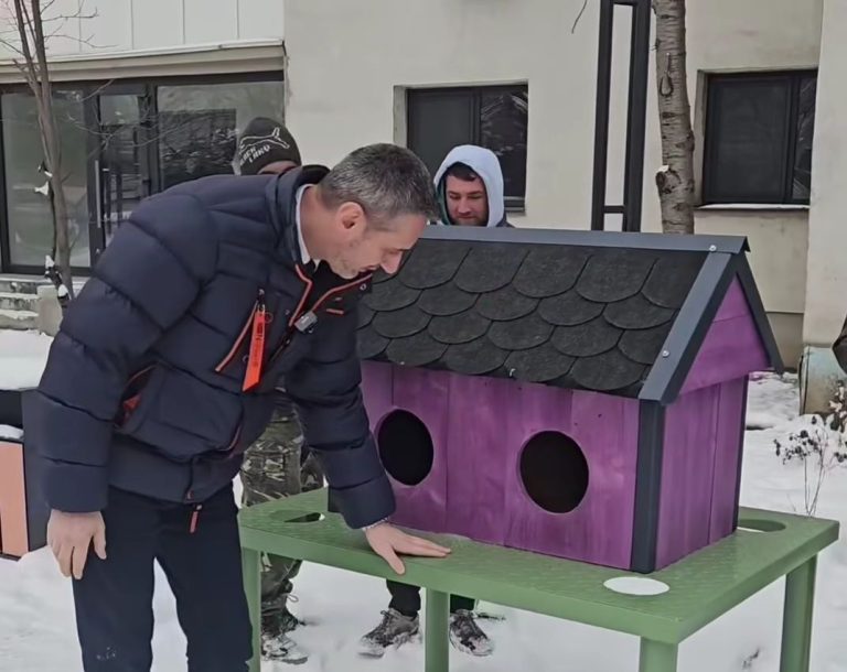 Căsuțe moderne pentru pisici, amplasate în spații special amenajate în Slatina