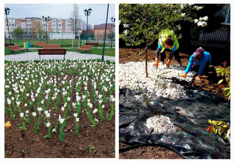 Transformare totală în Slatina: orașul pus la punct, stradă cu stradă, de echipa Dezvoltare Urbană