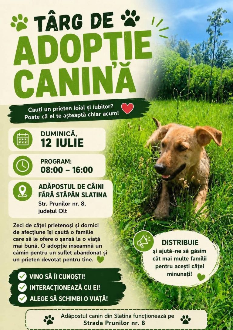 Fii eroul unui suflet abandonat! Un nou Târg de Adopție Canină la Slatina, duminică- 12 iulie
