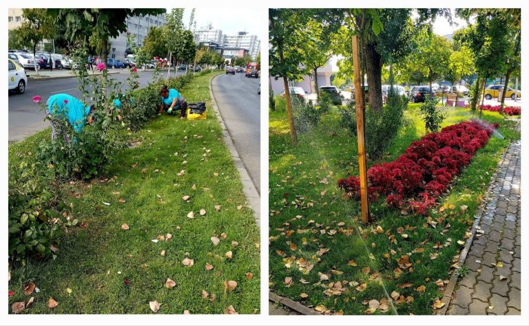 Slatina de azi: mai multă grijă pentru spațiul public