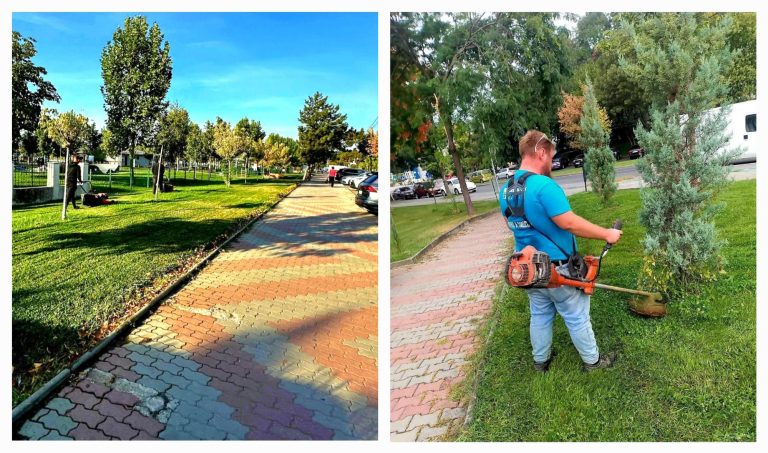 Slatina, șantier permanent de întreținere urbană. Echipele Dezvoltare Urbană, mobilizare în parcuri și pe străzi
