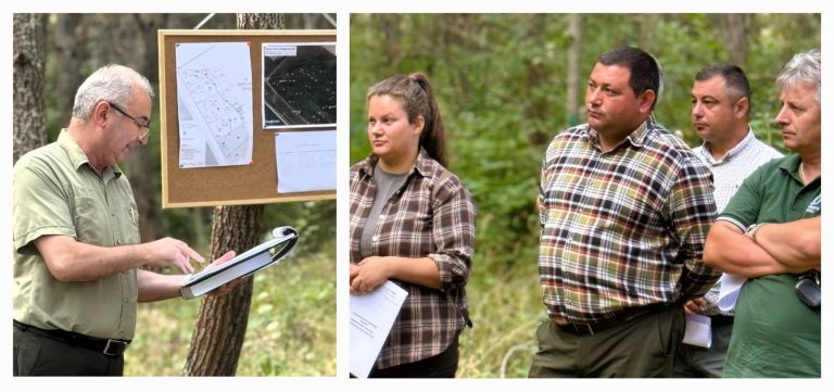 Instructaj practic la Ocolul Silvic Drăgănești-Olt. Silvicultorii au stabilit cât lemn poate fi extras prin rărituri